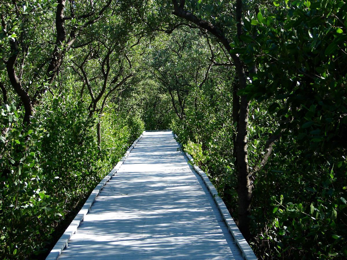 Hidden Harbor Sw Cape- Waterfront Private Home Locally Owned & Managed, Fair & Honest Pricing Cape Coral Exterior foto